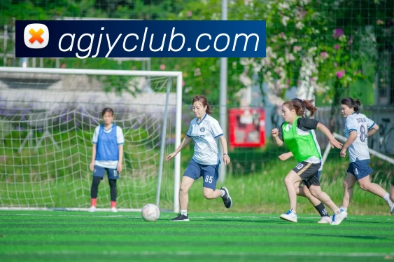 多媒体互动体验